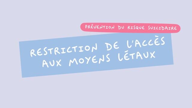 Restriction de l’accès aux moyens létaux